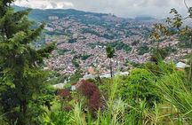 Private Community Coffee Farm of Transformation in Comuna 8