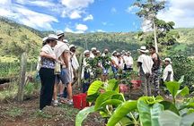 Private Community Coffee Farm of Transformation in Comuna 8