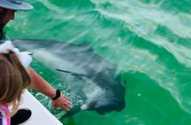 Destin Private Boat Tours Dolphin Crab Island Snorkel Sunset 
