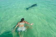 Destin Private Boat Tours Dolphin Crab Island Snorkel Sunset 