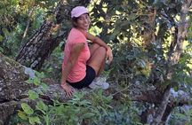 Discover Mismaloya Waterfalls Full Day Guided Hiking Tour
