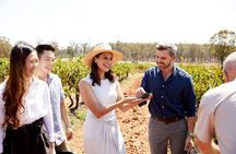 Sydney Hunter Valley Private Wine Tour with Tastings and Lunch