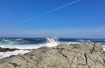 Isla Negra, Algarrobo Vinícola Undurraga Tour
