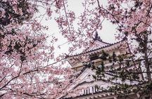 Kimono Walk and Tea ceremooy and sake in Historic Kitsuki Castle
