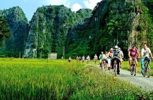 Ninh Binh - Hoa Lu – Tam Coc – Mua Cave One Day Tour