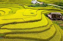 Ha Giang: 2 Days 1 Night Khuoi My - Xa Phin Village Trekking
