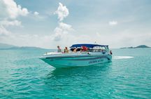 Pig Island and Koh Tan Snorkeling Fun by Speedboat from Samui