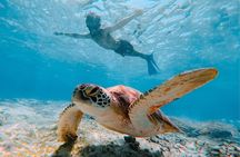 Gili Hai 3 Islands BBQ Cruise