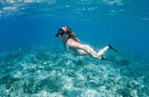 Gili Hai 3 Islands BBQ Cruise