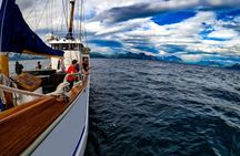 Tromsø Small Group Sea-to-Table Fishing Trip