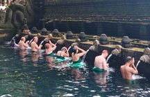 Ubud: Monkey Forest, Jungle Swing, Rice Terrace, Tample, Coffee