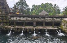 Ubud: Monkey Forest, Jungle Swing, Rice Terrace, Tample, Coffee