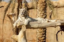 Private Al Ain City Tour with Lunch Pickup included
