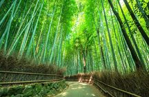 Kyoto Guided Tour of Bamboo Forest, Temple and more