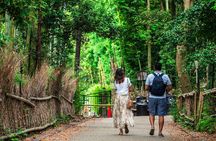 Kyoto Guided Tour of Bamboo Forest, Temple and more