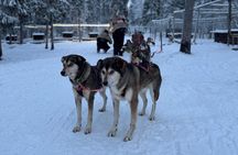 Lapland Wilderness Husky Safari 7,5 km