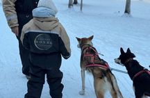 Husky Ride, Reindeer Ride and Ice Fishing One Day Experience