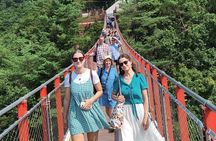 DMZ: Explore 3rd Tunnel & Nature Walk on Suspension Bridge