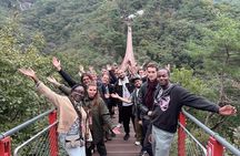 DMZ: Explore 3rd Tunnel & Nature Walk on Suspension Bridge