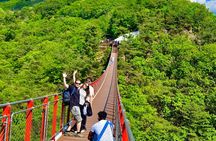 DMZ: Explore 3rd Tunnel & Nature Walk on Suspension Bridge