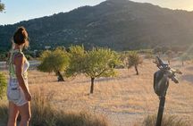 Self Guided E Scooter Brunch Tour in Mallorca Countryside