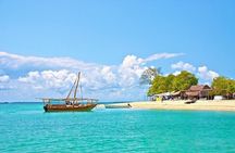 Safari Blue Zanzibar & Menai Bay Fascinating day Sea Trip With Lunch - Zanzibar