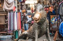 Florence Renaissance and Medieval: Day Trip from Milano by High-Speed Train