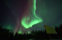 Aurora Quest by Minibus