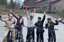Guided Asheville E-bike Tour of River Arts, Mountains and Murals