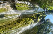 Adventure in Samaná : Lemon Leap and Lemon Jump.