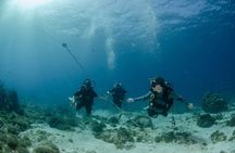 Open Water course Isla Mujeres