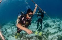 Open Water course Isla Mujeres
