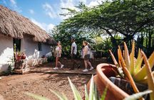 Curaçao Kunuku & Playa Kalki Beach Tour