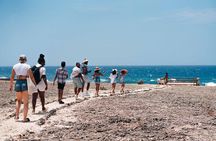 All West Beach Hopping Tour