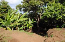 Caves and Legends Explore the Underground World of Easter Island