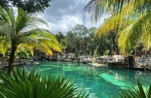 Tulum Ruins with Casa Tortuga in 4 Cenotes with Lunch