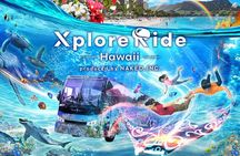 Honolulu XR Bus Tour: Immersive Hawaii Experience "XploreRide"