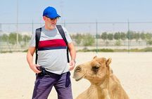 Bahrain in a Day: From City Lights to Desert Landscapes 4-5 HRS
