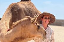 Bahrain in a Day: From City Lights to Desert Landscapes 4-5 HRS