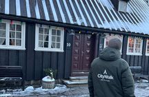Reykjavik Street Food Walking Tour