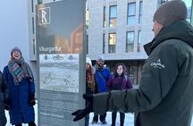 Reykjavik Street Food Walking Tour