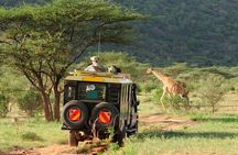 Big Five Full Day Safari at Aquila Game Reserve Cape Town
