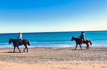 Beach and Desert Scenic Horseback Ride in Baja California Sur