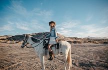 Beach and Desert Scenic Horseback Ride in Baja California Sur