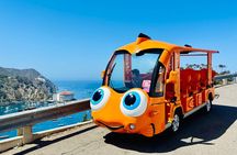Private Guided City Tour up to 12 Passengers