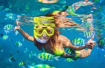  Bali Blue Lagoon Snorkeling with Ubud Tropical River Pool Bar