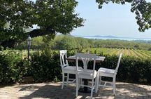 Sailing and Wine Tasting Day Trip at Lake Balaton