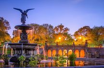 New York City Central Park Private Pedicab Tour