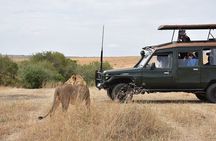 3 Days Maasai Mara Budget Safari From Nairobi