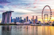  Private Singapore Tour: Bus and Car Transportation